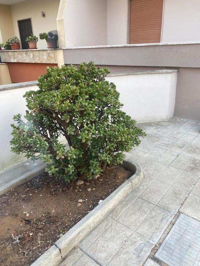 Giardino Massari Hotel Lecce Buitenkant foto